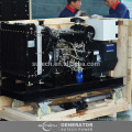 Preis von 60HZ 12 kva zuverlässige Yangdong Dieselgenerator mit YD380D Motor